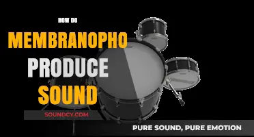 Understanding Membranophones: How Drumheads Vibrate to Create Sound Waves