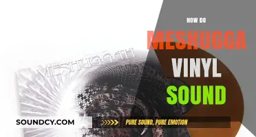 Meshuggah Vinyl Sound Quality: A Deep Dive into Audio Excellence