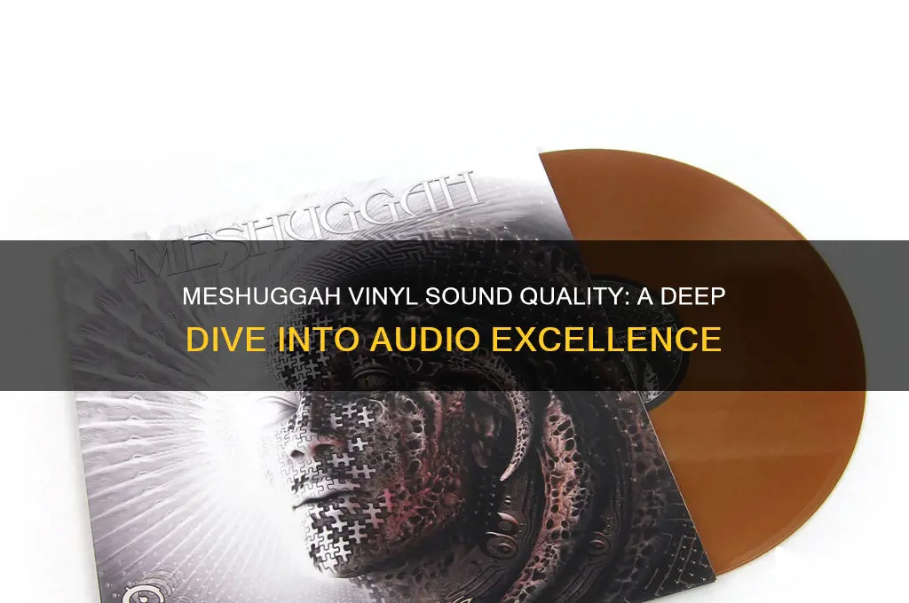 how do meshuggah vinyl sound