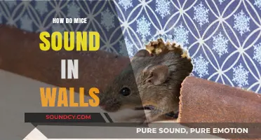 Uncovering the Mysterious Noises: How Mice Sound in Walls