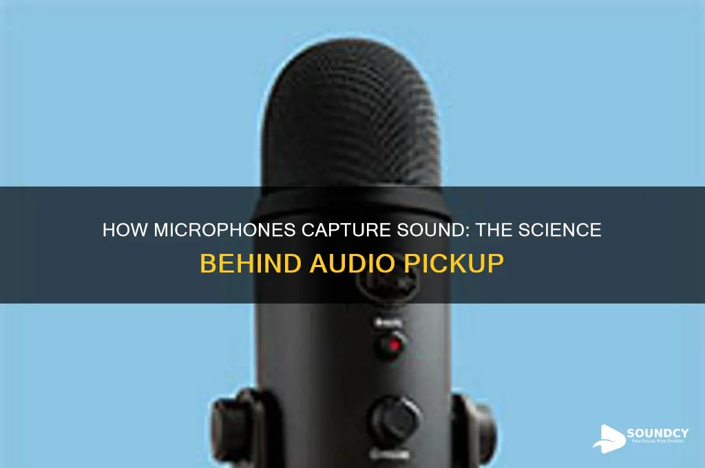 how do microphones pick up sound