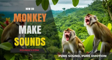 Unveiling the Secrets: How Monkeys Create Their Unique Vocalizations