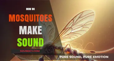 Buzzing Secrets: How Mosquitoes Create Their Signature Sound