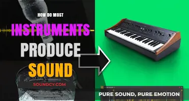 Unveiling the Science: How Most Musical Instruments Create Sound