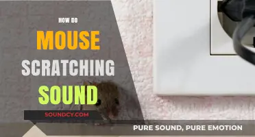 Understanding the Distinct Scratching Sounds Made by Mice in Your Home