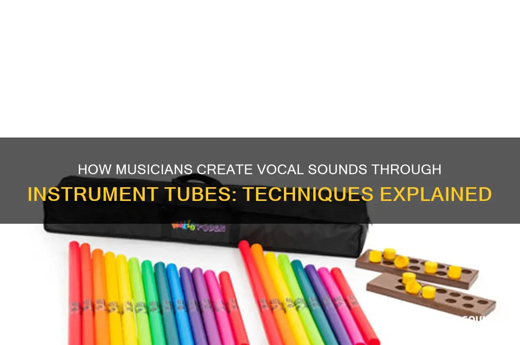 how do musicians make vocal sounds through instruments tube
