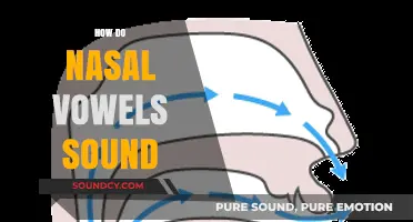 Understanding Nasal Vowels: Their Unique Sound and Articulation Explained