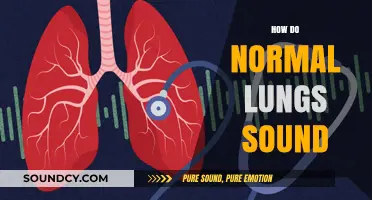 Understanding Normal Lung Sounds: A Guide to Healthy Breathing