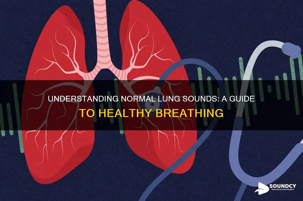 how do normal lungs sound