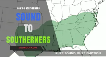 Northern Accents Through Southern Ears: Decoding the Unique Sound Divide