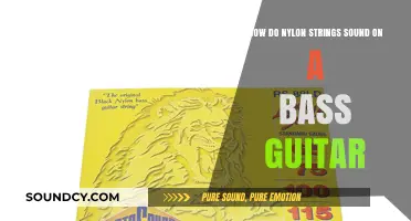 Nylon Strings on Bass Guitar: Unique Tone and Playability Explored