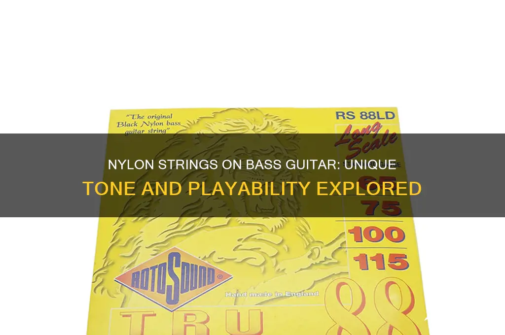 how do nylon strings sound on a bass guitar