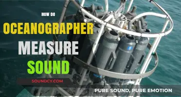How Oceanographers Measure Sound: Techniques and Technologies Explained