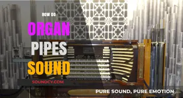 Unveiling the Majestic Resonance: How Organ Pipes Create Their Unique Sound