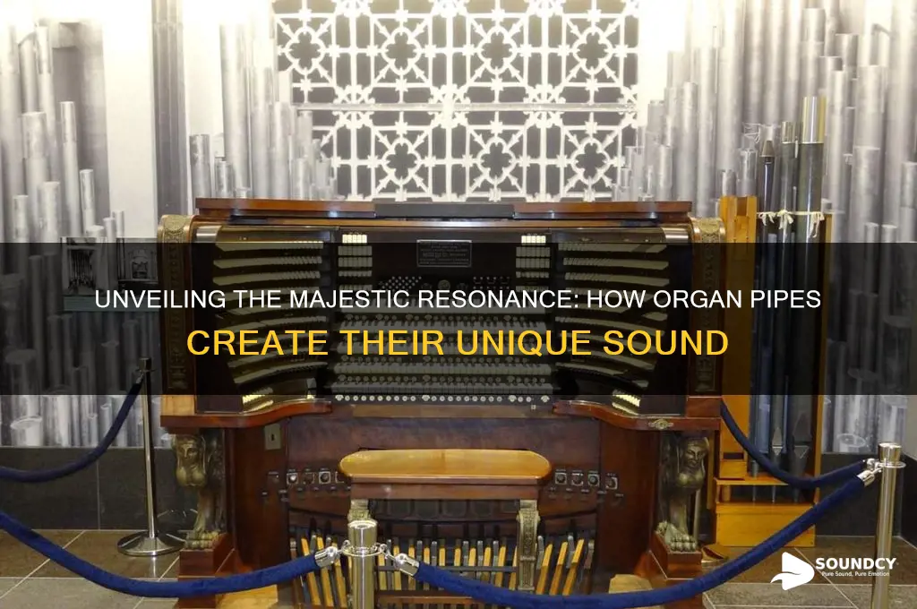 how do organ pipes sound