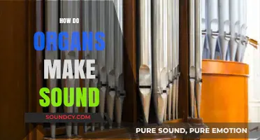 Unveiling the Science: How Organs Produce Musical Sounds