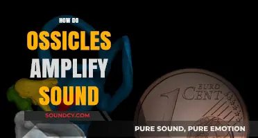 How Ossicles Amplify Sound: The Tiny Bones' Role in Hearing