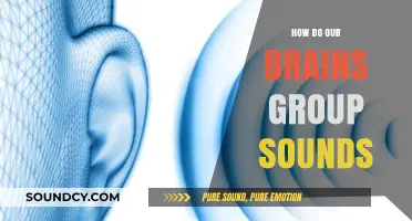 How Our Brains Organize and Group Sounds: The Science Behind Auditory Perception