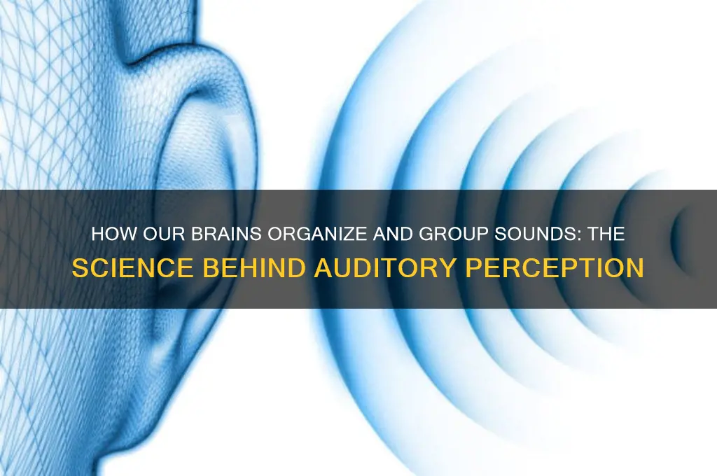 how do our brains group sounds