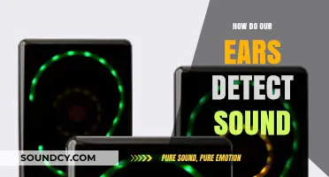 Unveiling the Science: How Our Ears Detect and Process Sound
