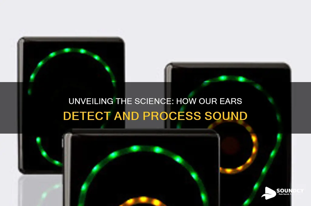 how do our ears detect sound