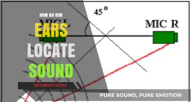How Our Ears Pinpoint Sound: The Science of Auditory Localization
