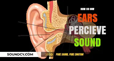 Unraveling the Mystery: How Our Ears Decode and Perceive Sound