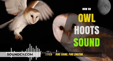 Unraveling the Mystical Sounds of Owl Hoots: A Comprehensive Guide