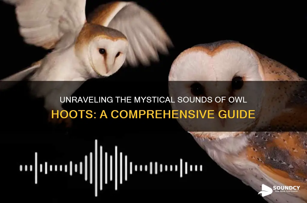 how do owl hoots sound