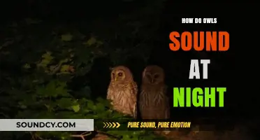 Unveiling the Mysterious Nocturnal Calls of Owls in the Night