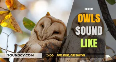 Unveiling the Mystical Hoots: Exploring the Unique Sounds of Owls