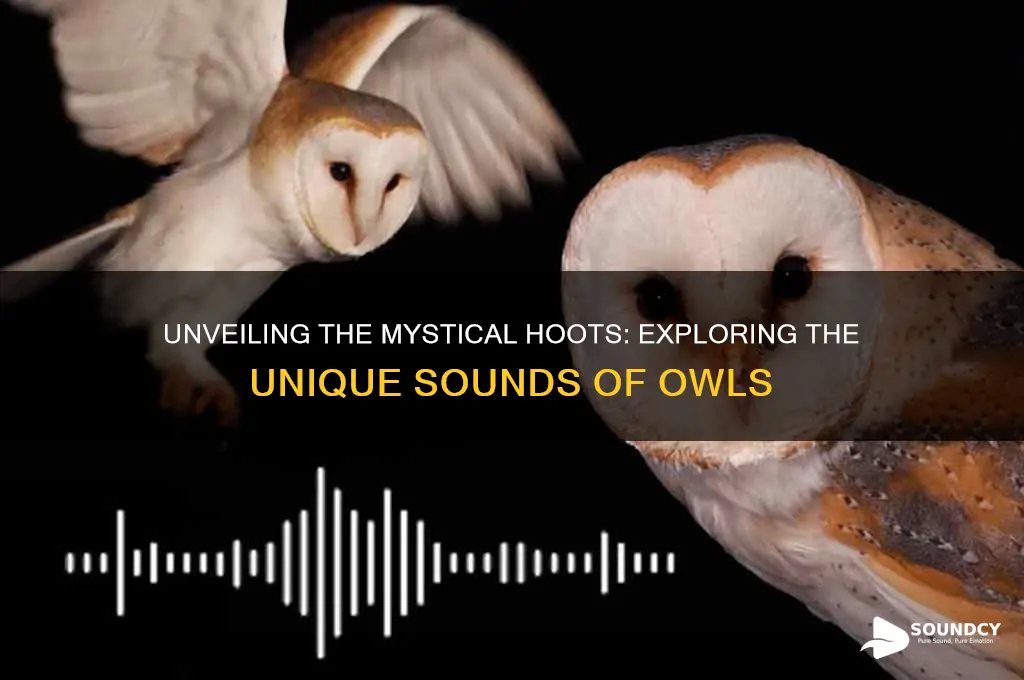 how do owls sound like