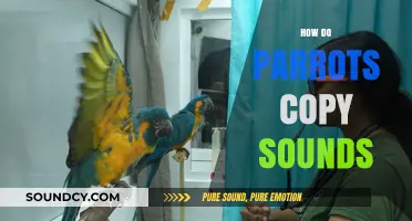 Unveiling the Fascinating Science Behind Parrots' Mimicry Abilities