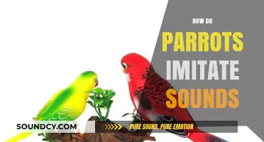 Unveiling the Fascinating Science Behind Parrots' Sound Imitation Abilities
