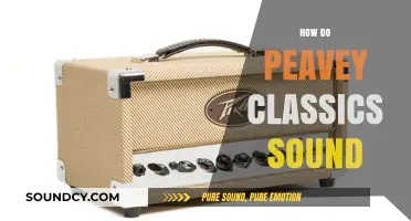 Exploring the Warm, Vintage Tone of Peavey Classic Amplifiers