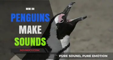 Unveiling the Unique Vocalizations: How Penguins Communicate Through Sounds