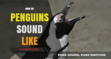Discover the Unique Vocalizations: How Do Penguins Sound Like?