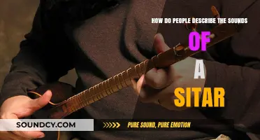 The Mystical Melodies: How People Describe the Sitar's Unique Sounds