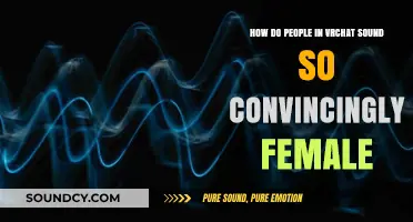 Mastering Feminine Voices in VRChat: Techniques for Convincing Female Sounds