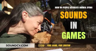 Crafting Realism: Recreating Animal Dying Sounds in Video Games