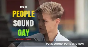 Unpacking the Stereotypes: How Society Perceives a 'Gay' Voice