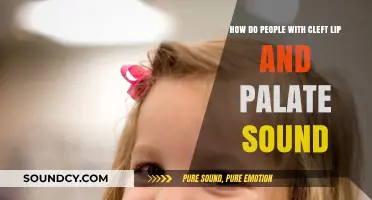 Understanding Speech Patterns in Individuals with Cleft Lip and Palate