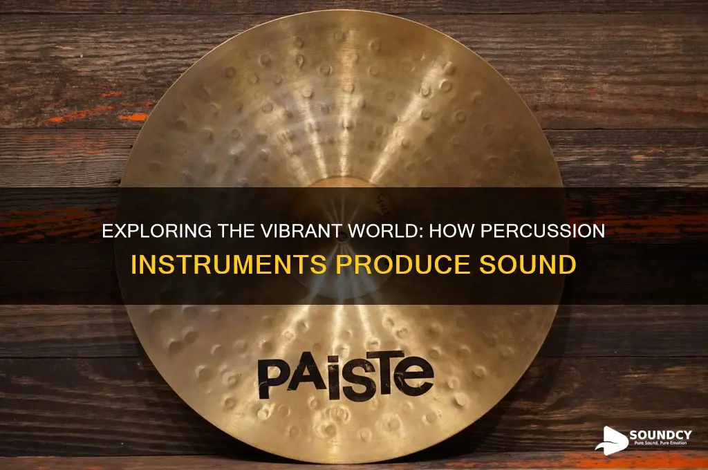 how do percussion instruments create sound