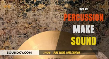 Understanding Percussion: How Drums and Instruments Create Vibrant Sounds