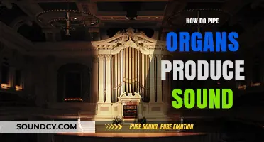 Unveiling the Majestic Mechanics: How Pipe Organs Create Their Timeless Sound