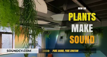 Unveiling the Secret Sounds of Plants: How They Communicate Acoustically