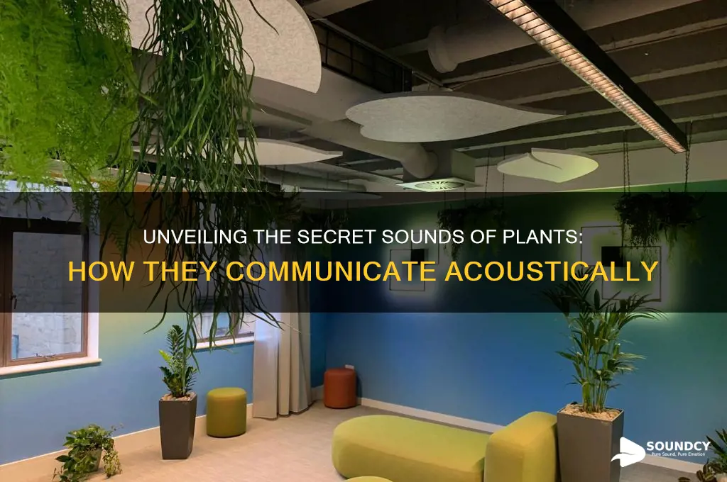 how do plants make sound