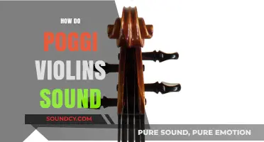 Exploring the Rich, Warm Tones of Poggi Violins: A Sonic Journey