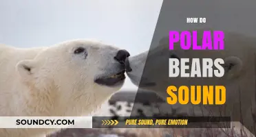Unveiling the Unique Vocalizations of Polar Bears in the Arctic