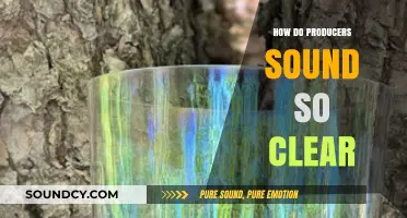 Achieving Crystal-Clear Sound: Secrets of Professional Music Producers